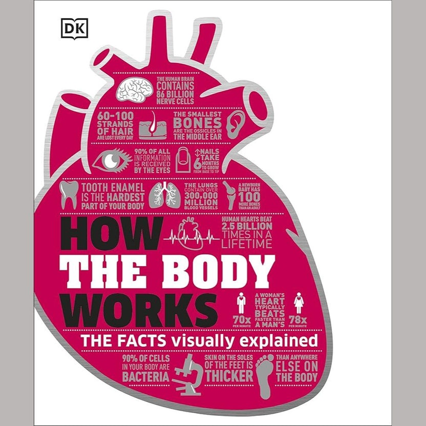Body Explained How the Body Works: The Facts Simply Explained – THE READING TIME