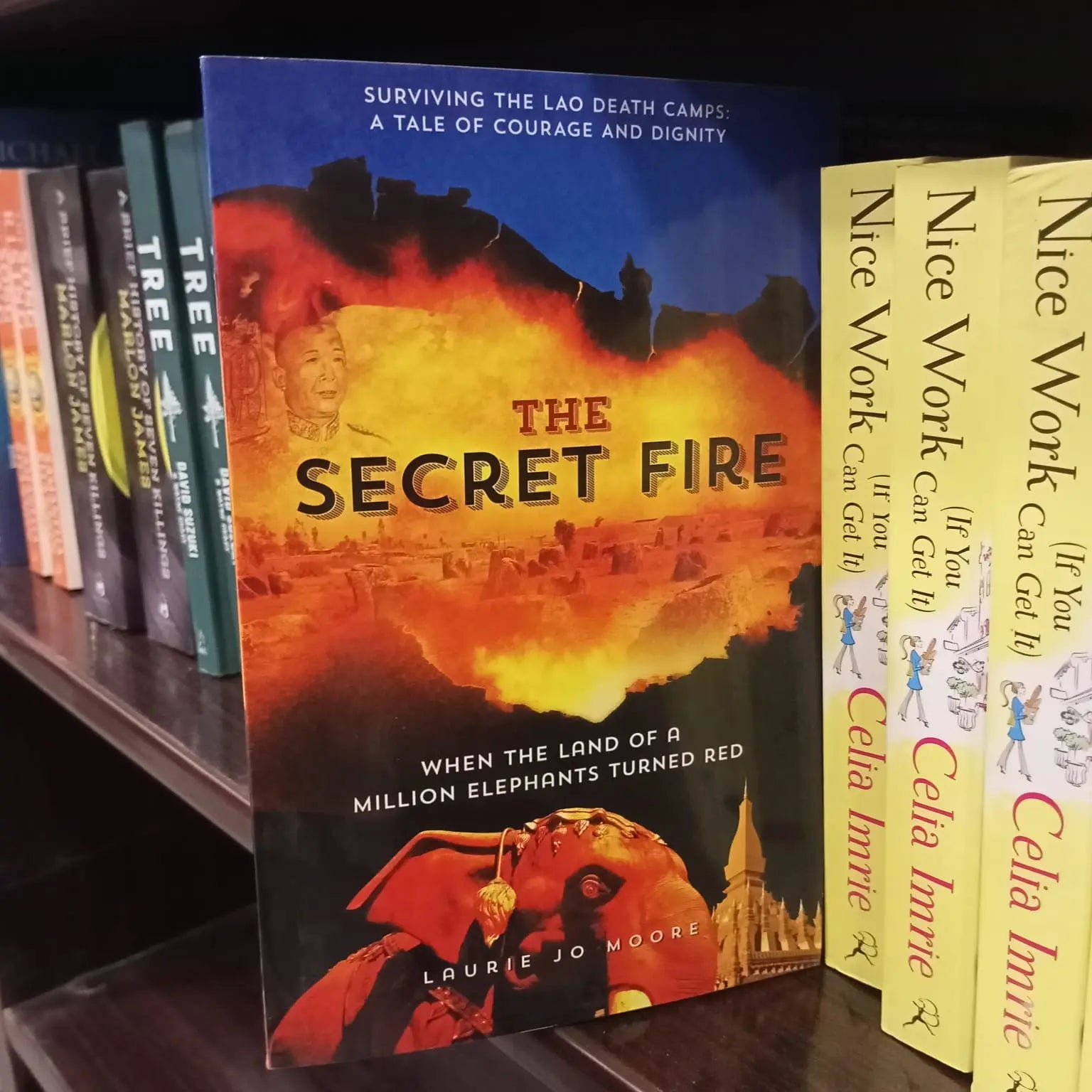 The Secret Fire English Book House